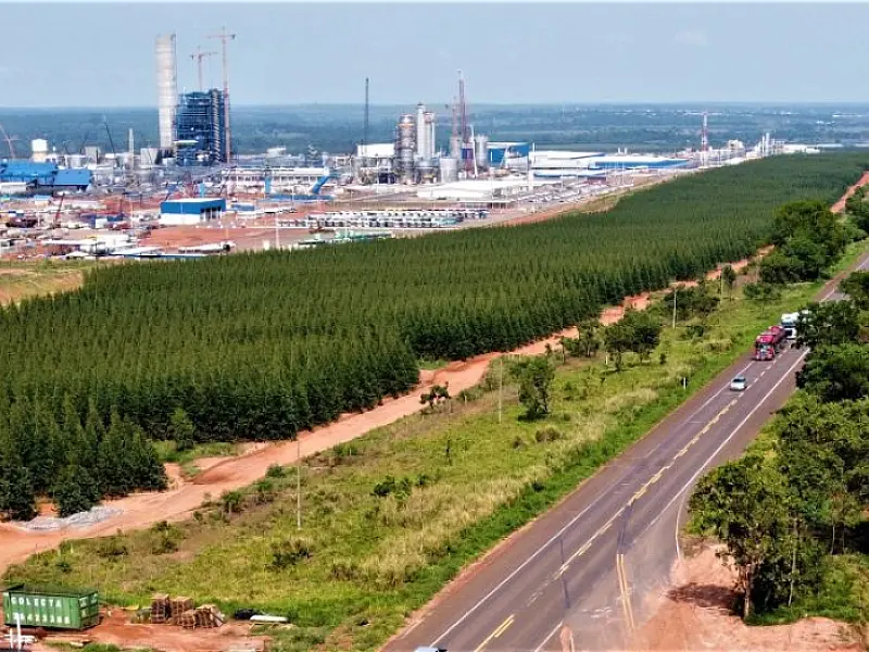 Ranking de liberdade econômica coloca MS entre os três estados com melhor ambiente para negócios