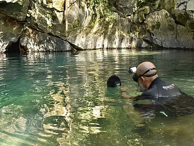 Cascudo criticamente ameaçado de extinção é avistado em caverna de Bonito após 20 anos