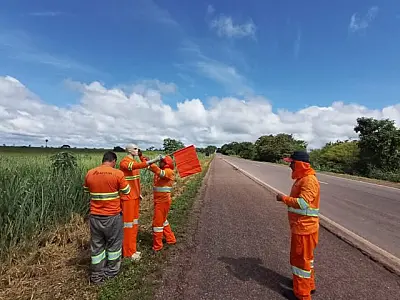 Em parceria com a PMA, ação usa até bonecos para salvar animais na principal rodovia do Pantanal