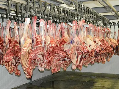 Área de fronteira de MS é autorizada a exportar carne in natura para a UE