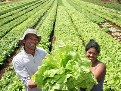 FCO Itinerante encerraram na última semana de junho a programação deste primeiro semestre