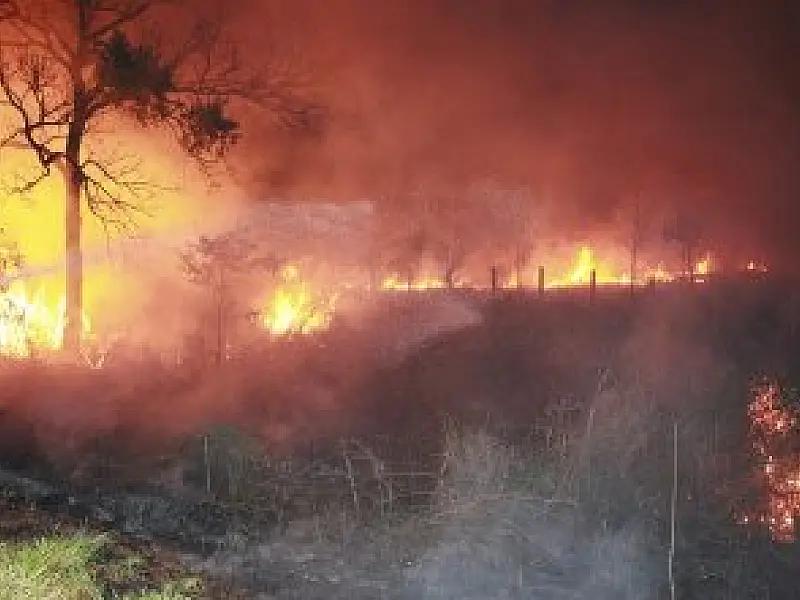 Bombeiros combatem incêndio de grande proporção em Coxim