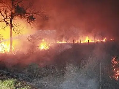 Bombeiros combatem incêndio de grande proporção em Coxim