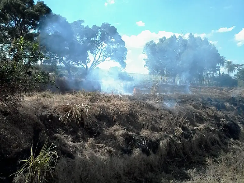 PMA autua dono de chácara por provocar incêndio em pastagem