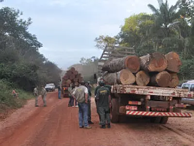 Ibama detecta queimada e flagra exploração ilegal de madeira em Mato Grosso