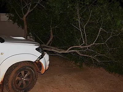 Homem tem mal súbito e bate camionete em árvore de Ivinhema
