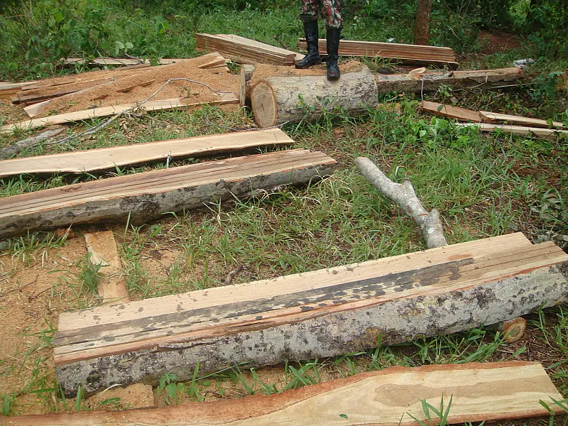 Proprietário rural é autuado em R$ 5 mil por extração ilegal