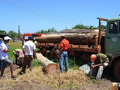 Trabalhador fica gravemente feriado após tronco de 4 toneladas cair sobre ele