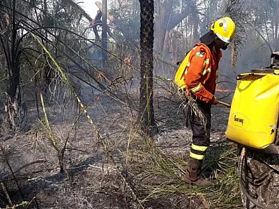 Secretário alerta: autorizações de queimadas controladas  continuam suspensas em todo o Estado