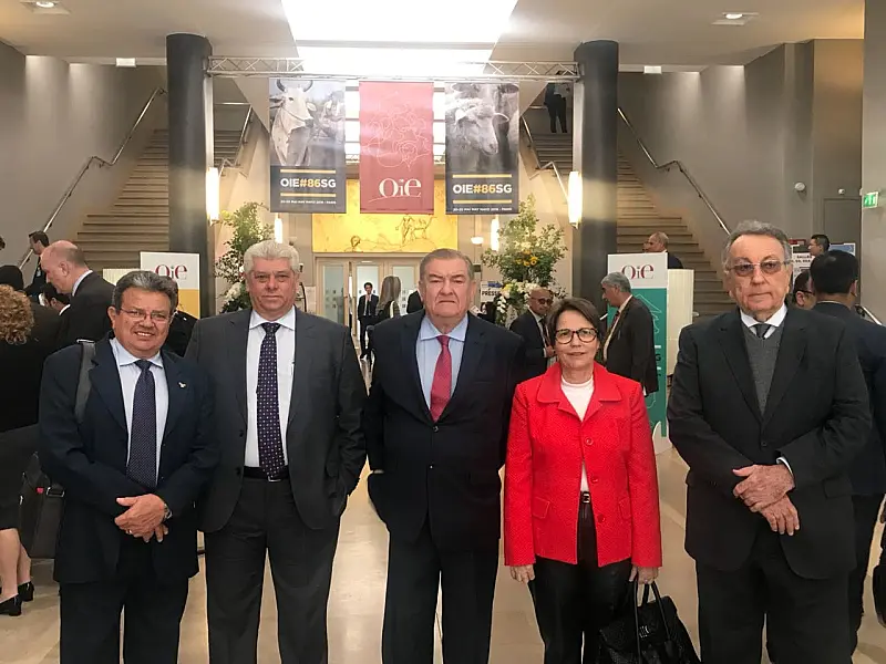 Presidente da FPA, Tereza Cristina vai a Paris acompanhar certificação do Brasil como área livre de aftosa com vacinação
