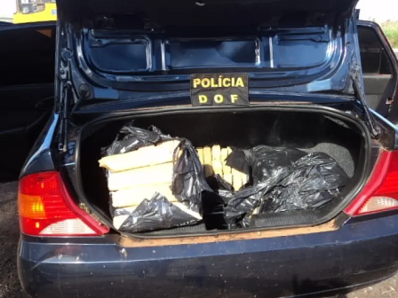 DOF apreende mais de 170 quilos de maconha