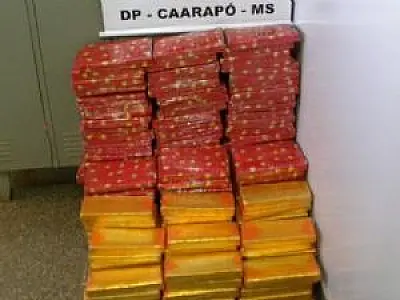 Polícia apreende 251 kg de maconha em Caarapó
