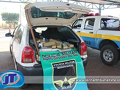 PMR apreende cerca de 300 kg de maconha na MS-240