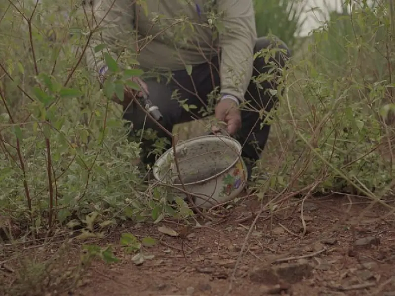 Boletim Epidemiológico: MS registra 15.927 casos confirmados de dengue
