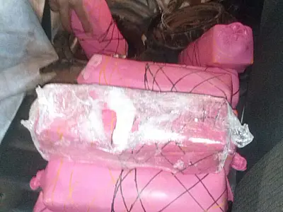 DOF apreende 16 quilos de cocaína em veículo