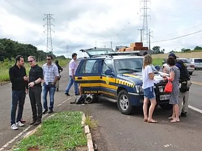 OAB afirma que PRF deveria ter detido todos os embriagados