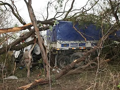 Motorista dorme ao volante e carreta bate em árvores