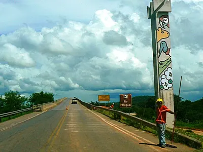 Mato Grosso do Sul pode ter sua primeira rodovia ecologicamente correta