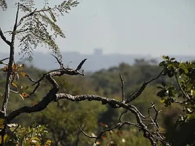 Mais da metade dos municípios têm legislação ambiental