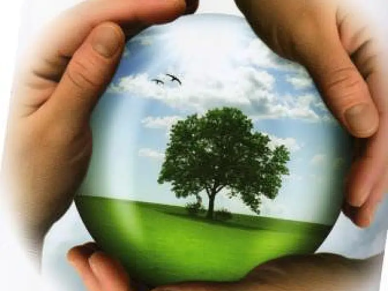 1º Fórum Ambiental de MS acontece em agosto