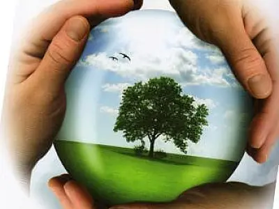 1º Fórum Ambiental de MS acontece em agosto