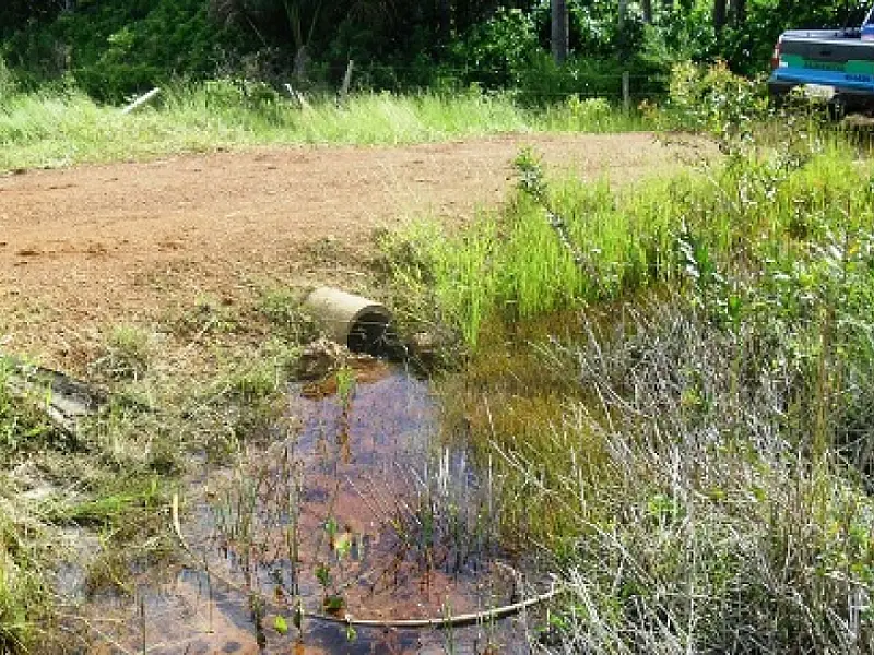 Fazendeira é multada em R$ 20 mil por obra em nascente