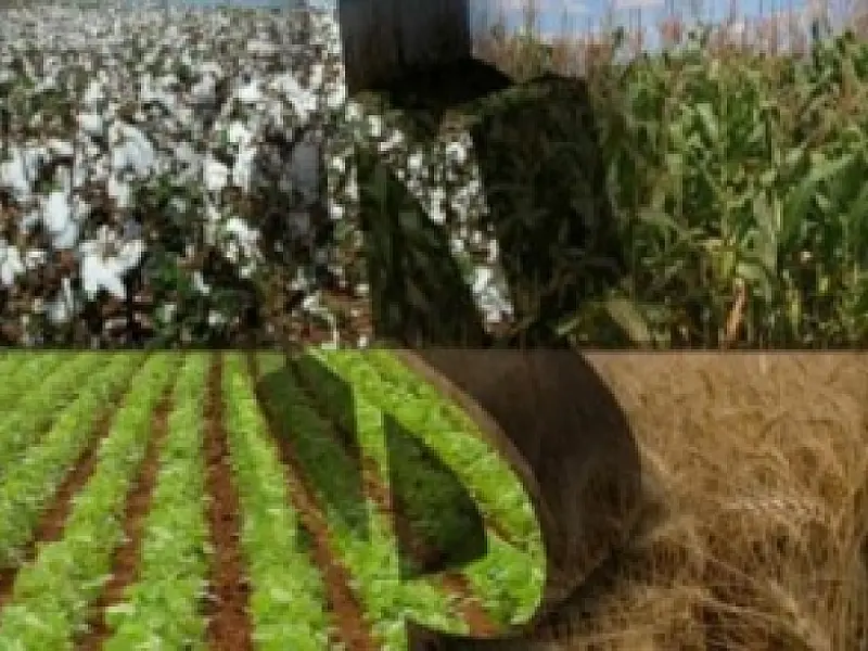 Famasul e Caixa unidos para facilitar crédito rural