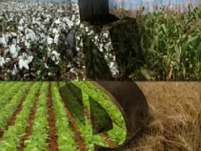 Famasul e Caixa unidos para facilitar crédito rural