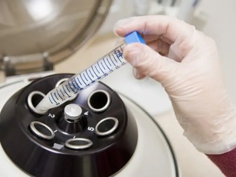 Anvisa quer apertar cerco a clínicas de reprodução assistida no Brasil