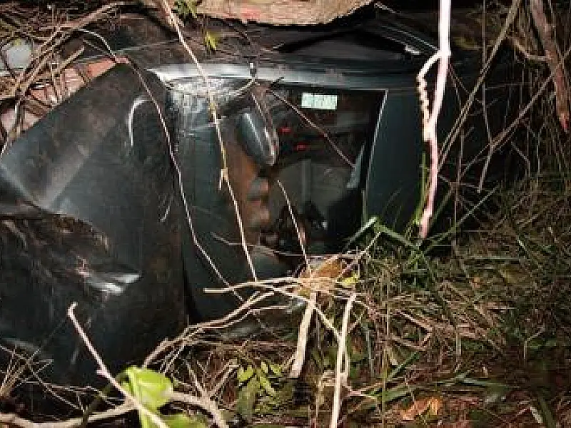 Carro atropela capivara, sai da pista e capota em Rio Verde