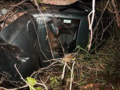 Carro atropela capivara, sai da pista e capota em Rio Verde