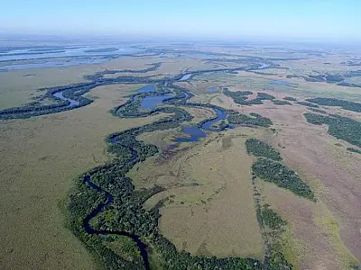 Como compensação ambiental, área de parque municipal é ampliada em 70,7% em MS