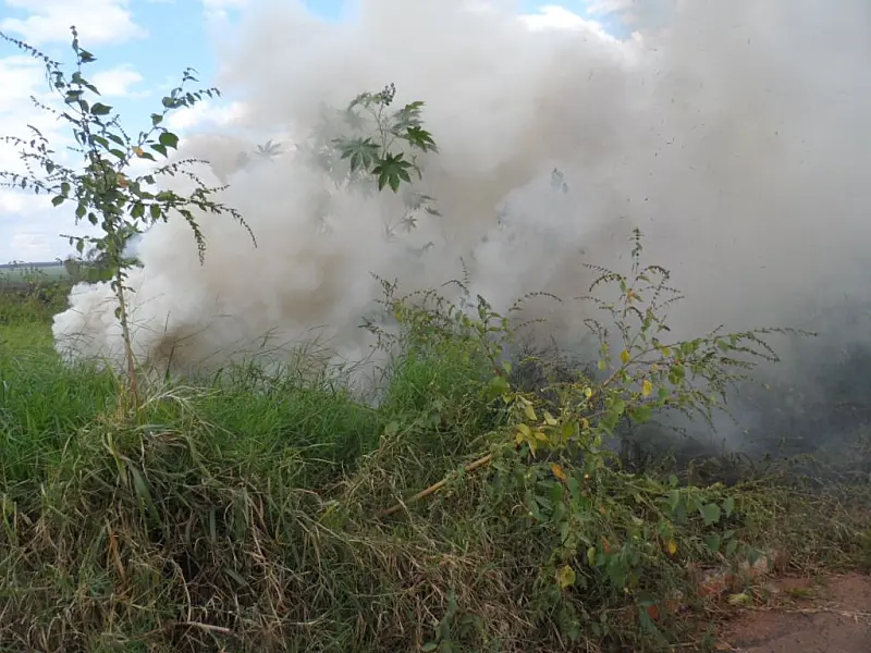 PMA autua homem por incêndio em terreno baldio