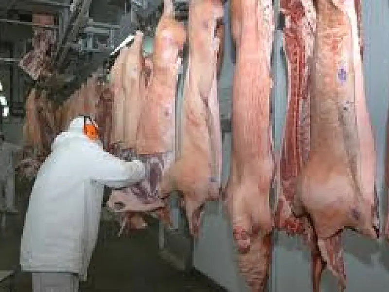 Exportações de carne suína à Ucrânia serão retomadas