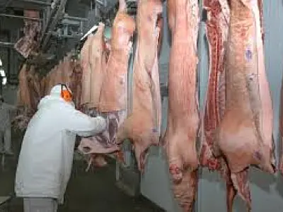 Exportações de carne suína à Ucrânia serão retomadas
