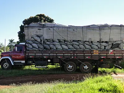 PMA apreende caminhão com carga de carvão ilegal e aplica multa de R$ 16,5 mil