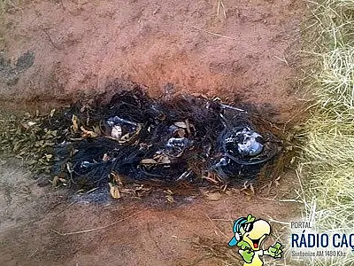 Ossada humana é encontrada próximo ao lixão de Campo Grande