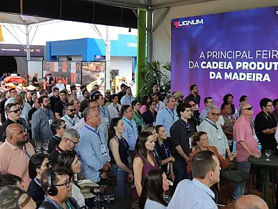 De estratégia a realidade: simplificação e visão de futuro ajudaram MS a consolidar Vale da Celulose