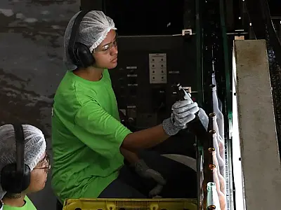 Mato Grosso do Sul tem 4.877 vagas de emprego em 35 municípios do Estado