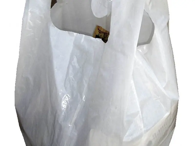 Maioria dos consumidores quer a volta das sacolas plásticas