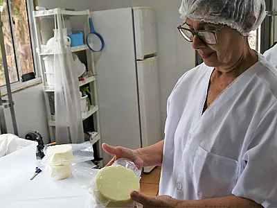Prefeitura é parceira em oficina que vai preparar empresas para selo de inspeção nacional