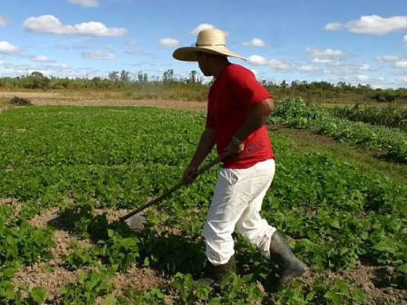 Dilma garantirá mais recursos para agricultura familiar
