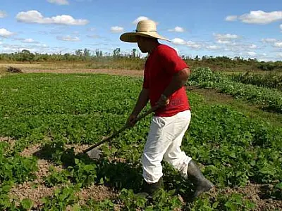 Dilma garantirá mais recursos para agricultura familiar