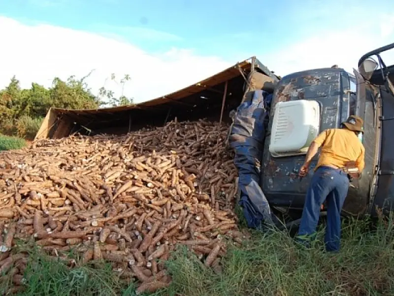 Caminhão carregado com mandioca tomba em Batayporã