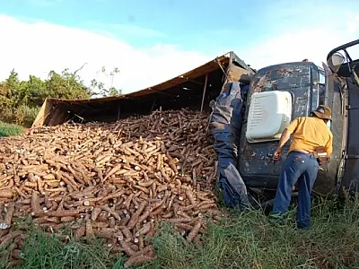 Caminhão carregado com mandioca tomba em Batayporã