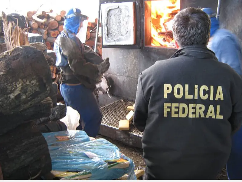 Queima de 8 t de droga segue até sexta em MS
