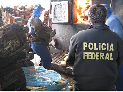 Queima de 8 t de droga segue até sexta em MS