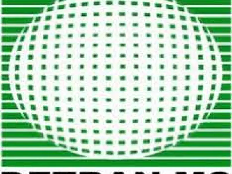 Detran-MS abre vagas para curso de diretor geral e de ensino de CFC