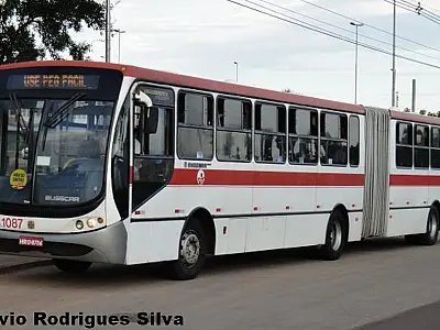 Linhas de ônibus serão alteradas nos dias 6 e 7 de setembro em Campo Grande