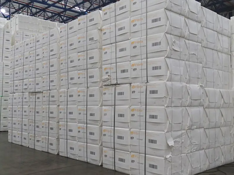 Celulose e minério de ferro se destacam no primeiro mês de exportações de 2018